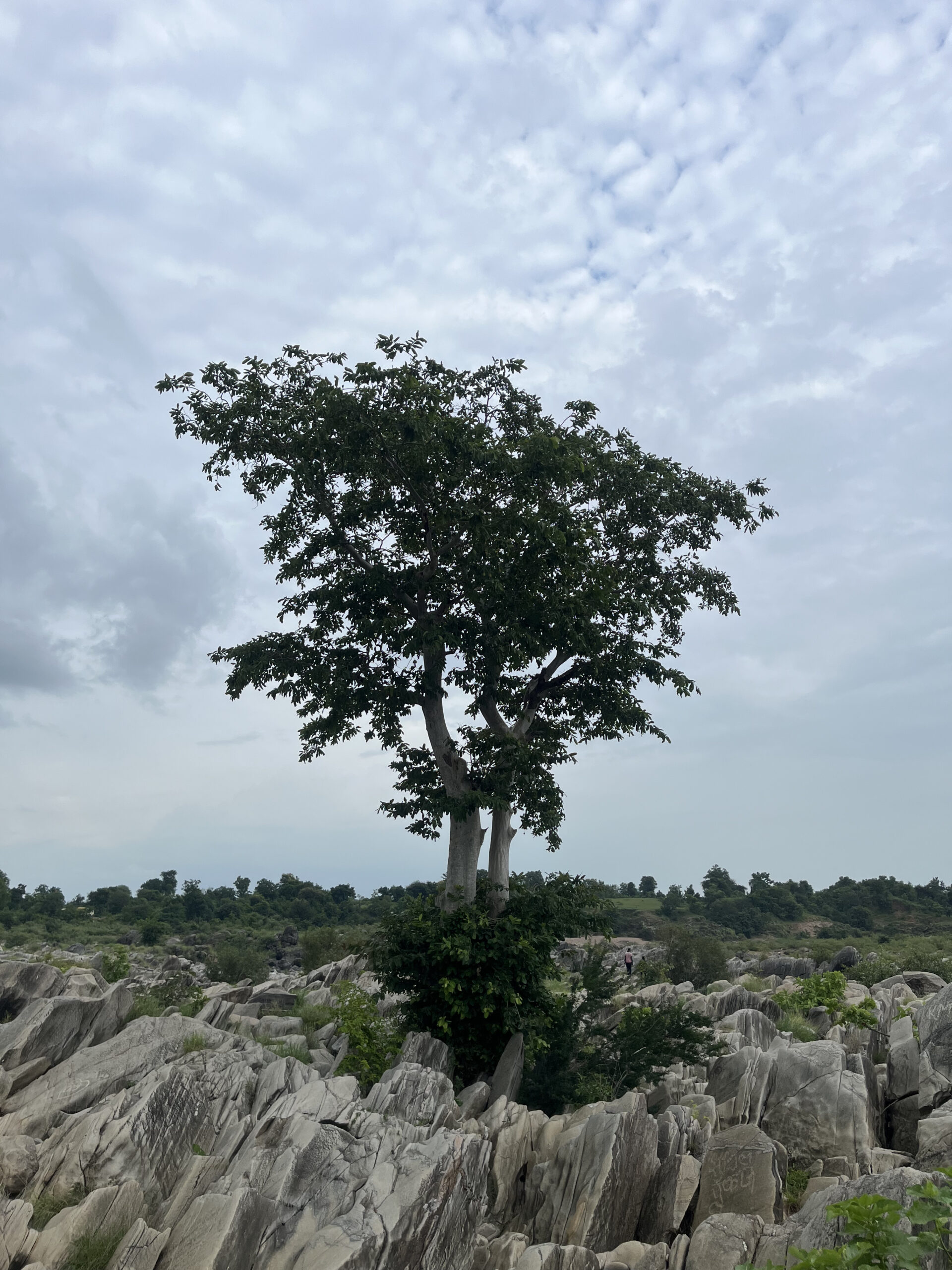 Ghogra Mahadev